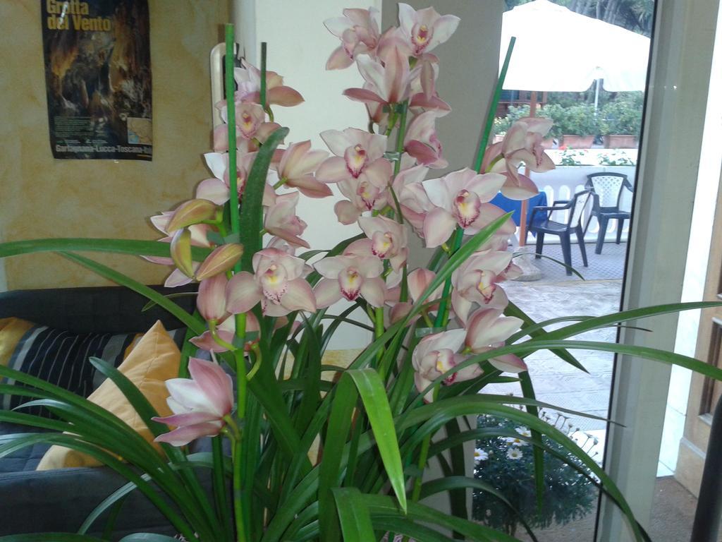 וירג'יו Hotel Sogno מראה חיצוני תמונה