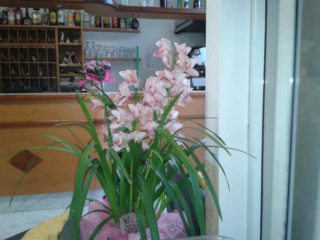 וירג'יו Hotel Sogno מראה חיצוני תמונה